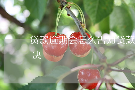 贷款逾期会怎么告知(贷款逾期通知书怎么解决)