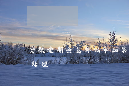 贷款逾期会怎样做牢(如果银行贷款逾期如何处理)