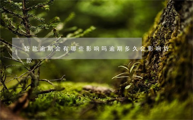 贷款逾期会有哪些影响吗(逾期多久会影响贷款)