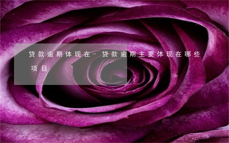 贷款逾期体现在-贷款逾期主要体现在哪些项目