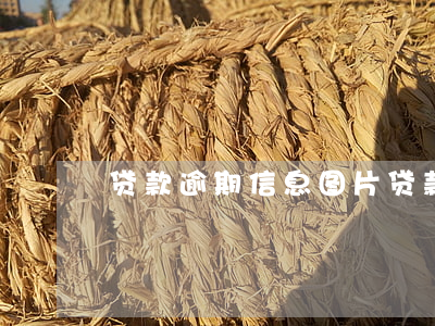 贷款逾期信息图片(贷款逾期图片制作)