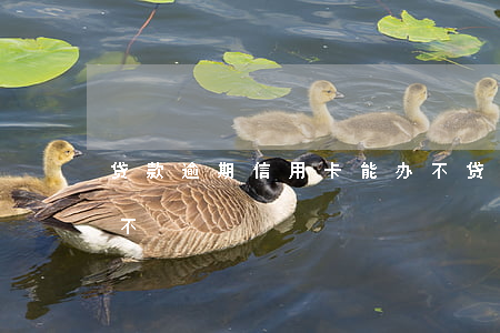 贷款逾期信用卡能办不 贷款逾期信用卡能办不