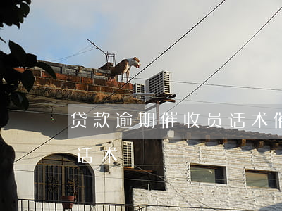 贷款逾期催收员话术(催收逾期时间长的施压话术)