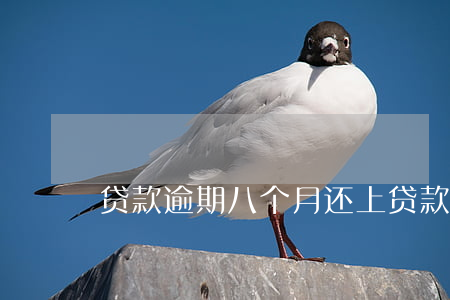 贷款逾期八个月还上(贷款逾期八个月还上)