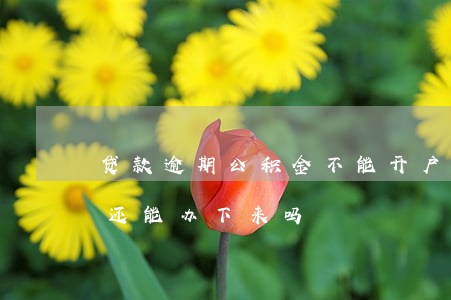 贷款逾期公积金不能开户(有逾期公积金贷款还能办下来吗)