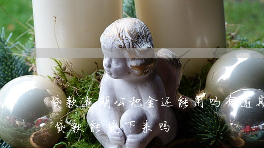 贷款逾期公积金还能用吗(有逾期住房公积金贷款能贷下来吗)