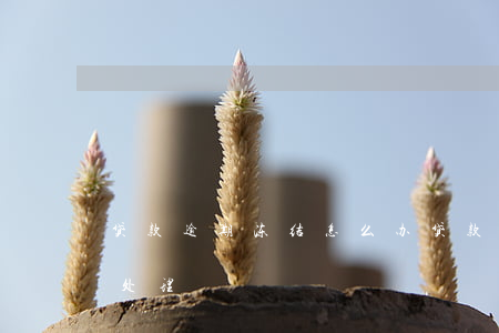 贷款逾期冻结怎么办(贷款逾期被冻结后怎么处理)