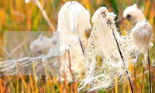 贷款逾期冻结是什么意思(贷款逾期冻结财产都包括什么)