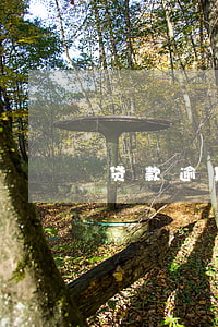 贷款逾期几个月成黑户(逾期成为黑户怎么办)