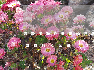 贷款逾期几天影响吗(房贷每个月都逾期几天会有什么后果)