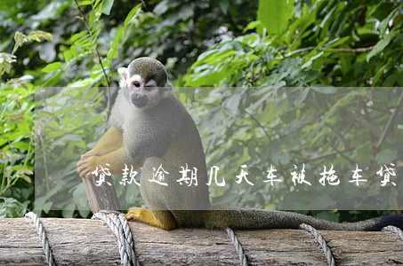 贷款逾期几天车被拖(车贷拖一天算不算逾期)