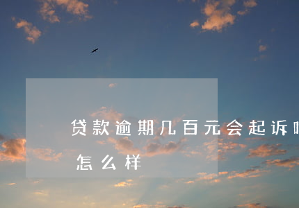 贷款逾期几百元会起诉吗(贷款逾期几百块会怎么样)