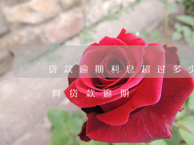 贷款逾期利息超过多少违法-利息逾期算不算贷款逾期