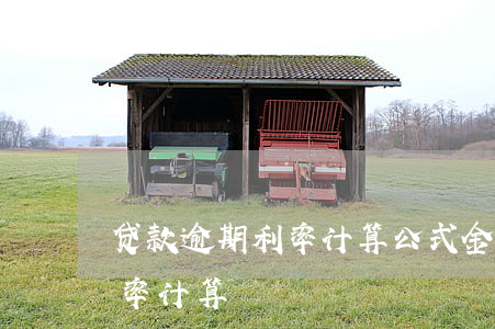 贷款逾期利率计算公式(金融机构逾期贷款利率计算)