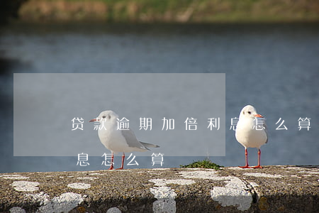 贷款逾期加倍利息怎么算(银行贷款逾期的利息怎么算)