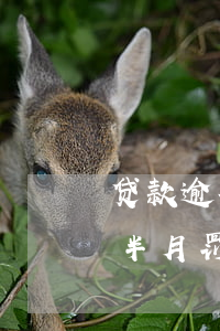 贷款逾期半月罚款每天罚款多少-贷款逾期半月罚款每天罚款多少钱