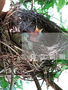 贷款逾期发邮箱(逾期发到邮箱)