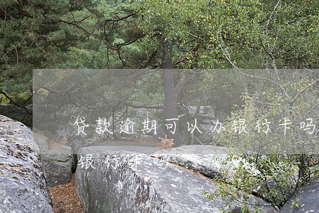贷款逾期可以办银行卡吗(银行有逾期还能办银行卡吗)