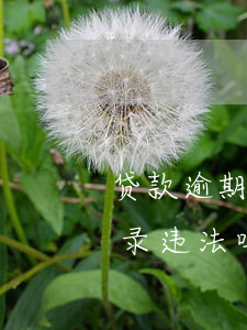 贷款逾期可以爆通讯录吗（啪啪贷逾期爆通讯录违法吗）