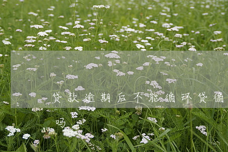 贷款逾期后不能循环贷(循环贷到期可以续贷吗)