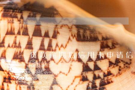贷款逾期后信用卡申请(信用卡逾期申述)