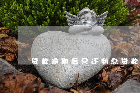 贷款逾期后只还利息(贷款逾期后只还利息)
