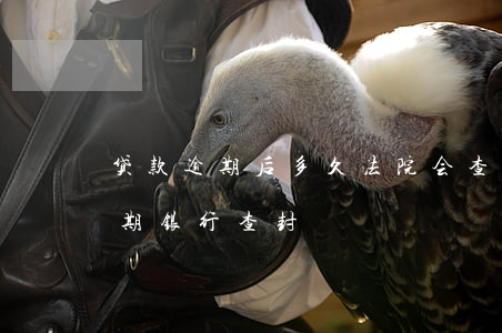 贷款逾期后多久法院会查封房产(房贷逾期几期银行查封)