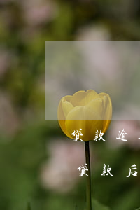 贷款逾期后抵押的房产被法院拍卖(房子抵押贷款后被法院拍卖了)