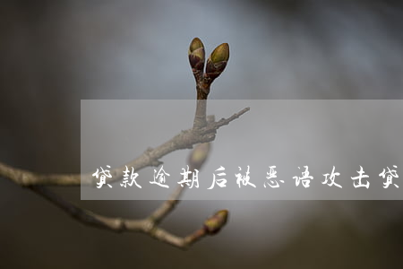 贷款逾期后被恶语攻击(贷款恶意逾期)