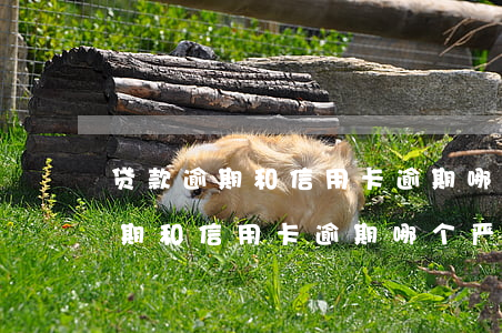 贷款逾期和信用卡逾期哪个严重些-贷款逾期和信用卡逾期哪个严重些呢