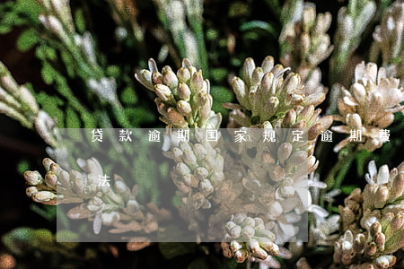 贷款逾期国家规定逾期费（贷款逾期费多少合法）