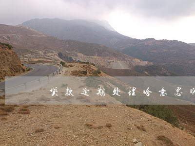 贷款逾期处理啥意思啊(贷款逾期什么意思)