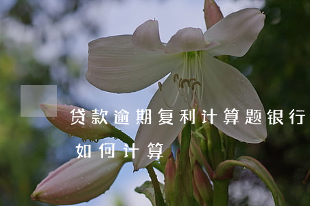 贷款逾期复利计算题(银行贷款逾期利息复利如何计算)