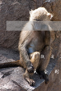 贷款逾期多久不良记录(银行贷款到期逾期几天会列入不良记录)