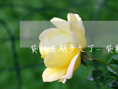 贷款逾期多久了-贷款逾期多久没事