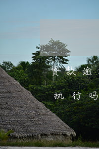 贷款逾期多久会不会强制执行(逾期会被强制执行吗)