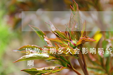 贷款逾期多久会影响吗(贷款逾期多久算严重啊)