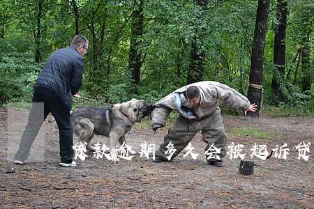 贷款逾期多久会被起诉（贷款可逾期多久）