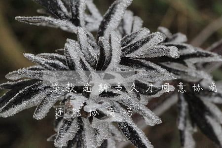 贷款逾期多久才同意协商(贷款逾期被起诉后还能协商吗)