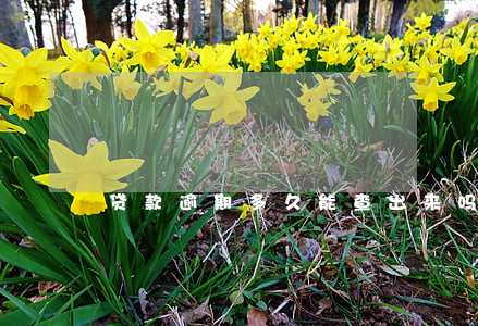 贷款逾期多久能查出来吗(贷款过几天算逾期)