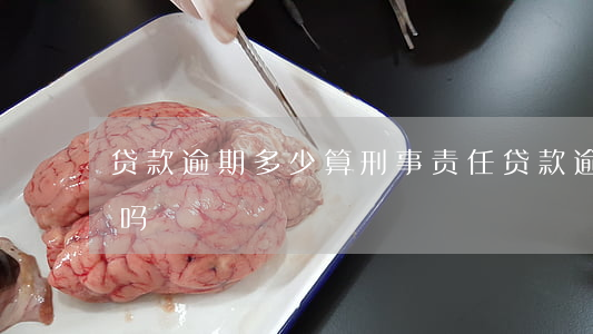 贷款逾期多少算刑事责任(贷款逾期触犯刑法吗)