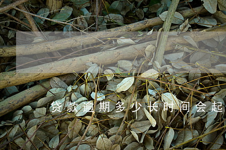贷款逾期多少长时间会起诉