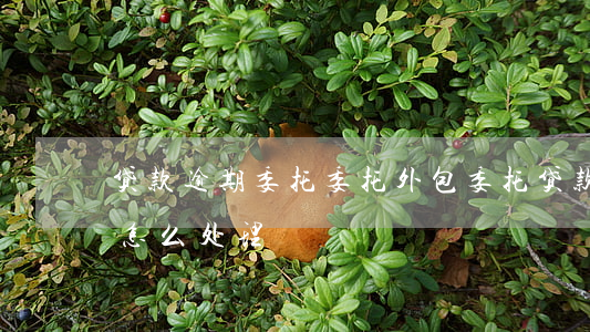 贷款逾期委托委托外包(委托贷款逾期后银行怎么处理)