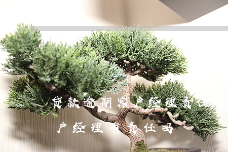 贷款逾期客户经理责任(客户贷款逾期经办客户经理有责任吗)
