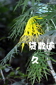 贷款逾期宽限期是几天(贷款最长可以逾期多久)