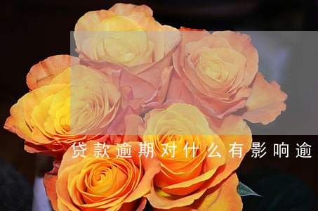 贷款逾期对什么有影响(逾期有哪些影响)