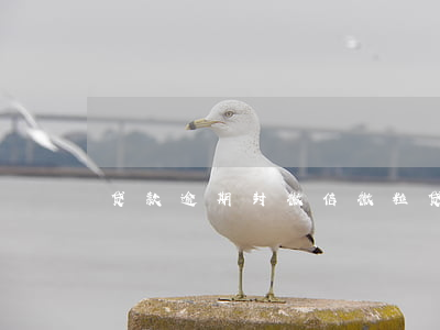 贷款逾期封微信(微粒贷逾期封微信)