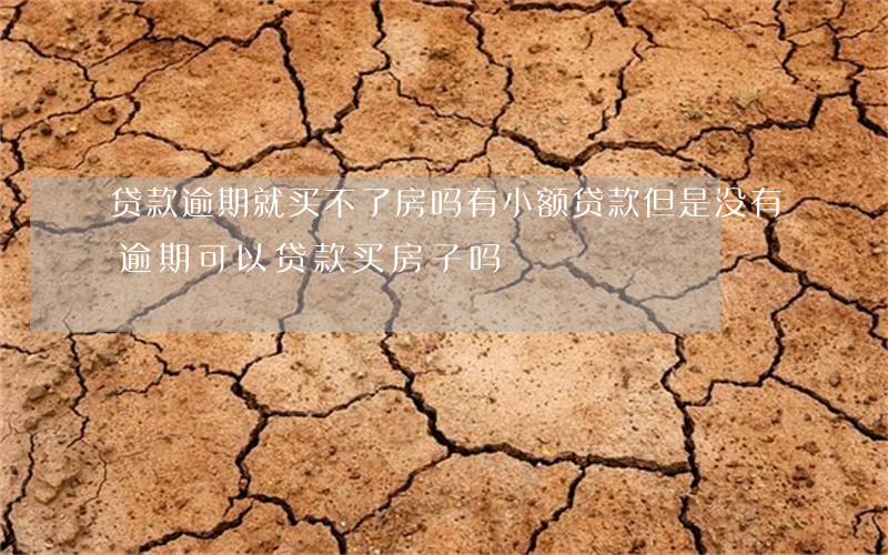 贷款逾期就买不了房吗(有小额贷款但是没有逾期可以贷款买房子吗)