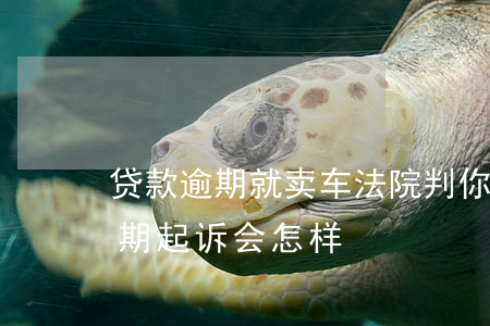 贷款逾期就卖车法院判你赔钱(车卖了车贷逾期起诉会怎样)