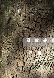 贷款逾期居高不下原因(贷款逾期有什么后果严重)
